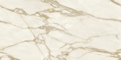 Calacatta Gold