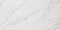 Silver Birch