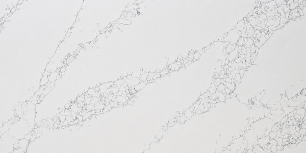 Silver Birch